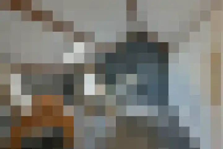 Fresialaan 31 De Kwakel thumbnail 16