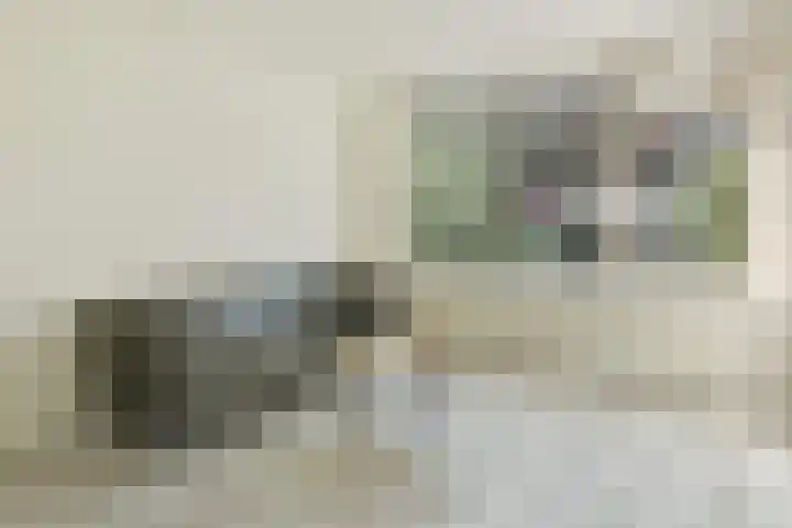 Fresialaan 31 De Kwakel foto 3