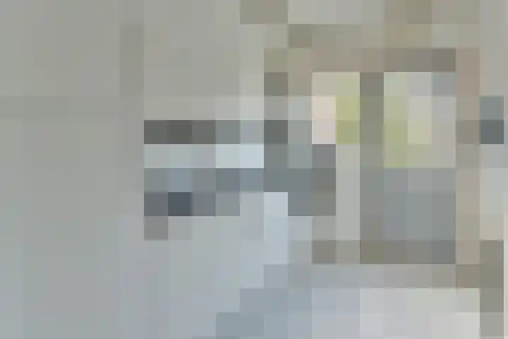 Fresialaan 31 De Kwakel thumbnail 7