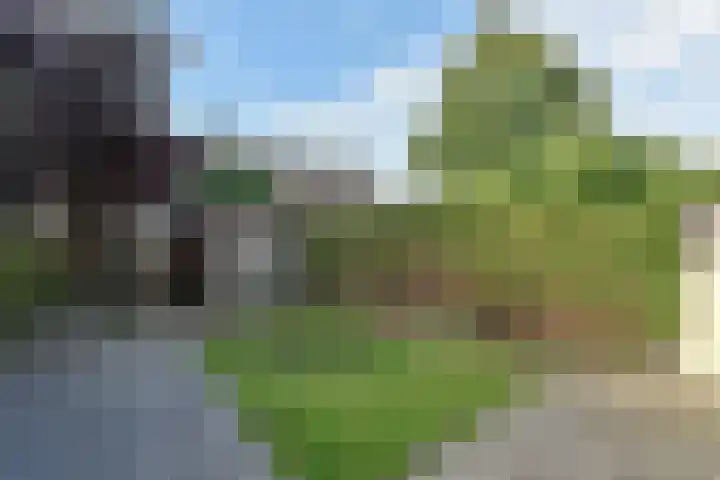 Fresialaan 31 De Kwakel thumbnail 8
