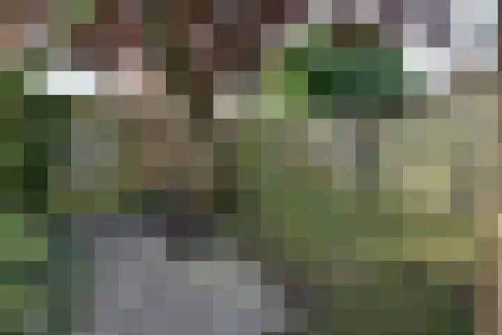 Fresialaan 31 De Kwakel thumbnail 9