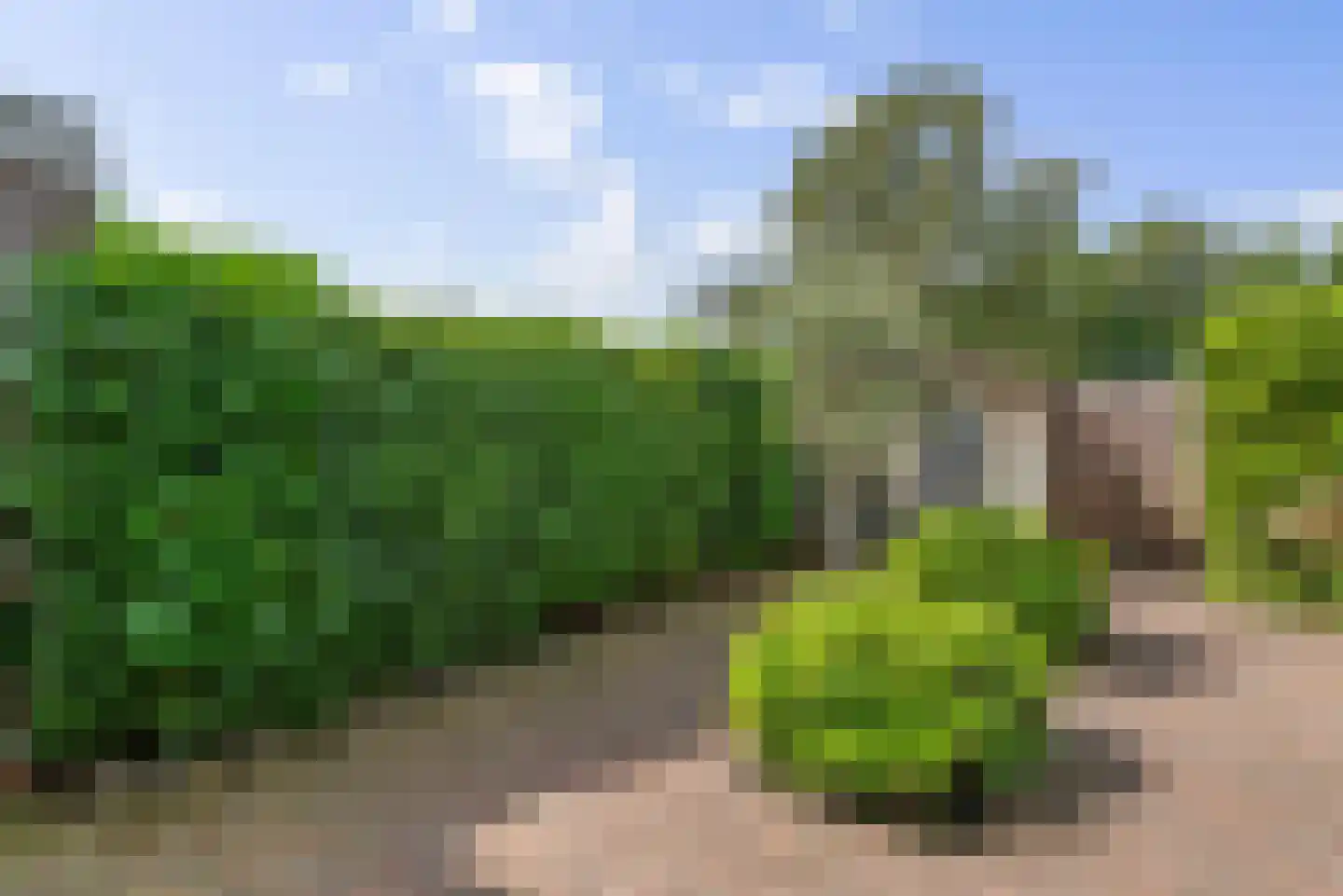 Fresialaan 5 Heemstede thumbnail 16
