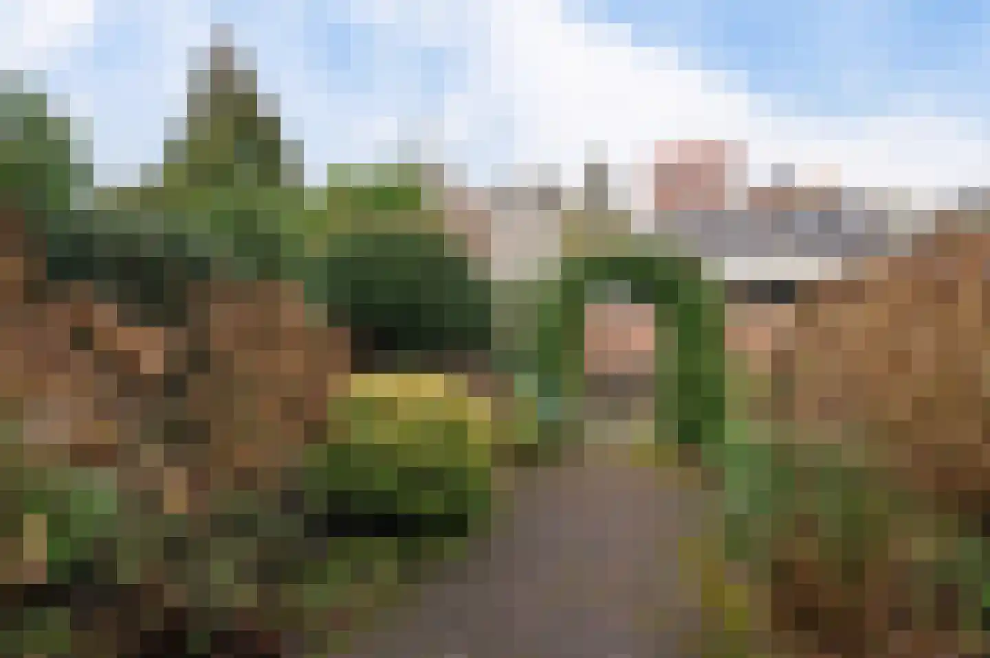 Fresialaan 8 Heemstede thumbnail 13