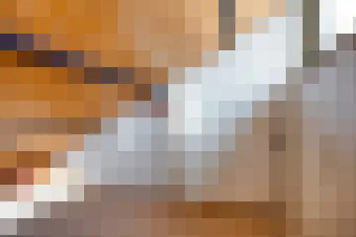 Fresiapad 2 Valkenswaard thumbnail 23