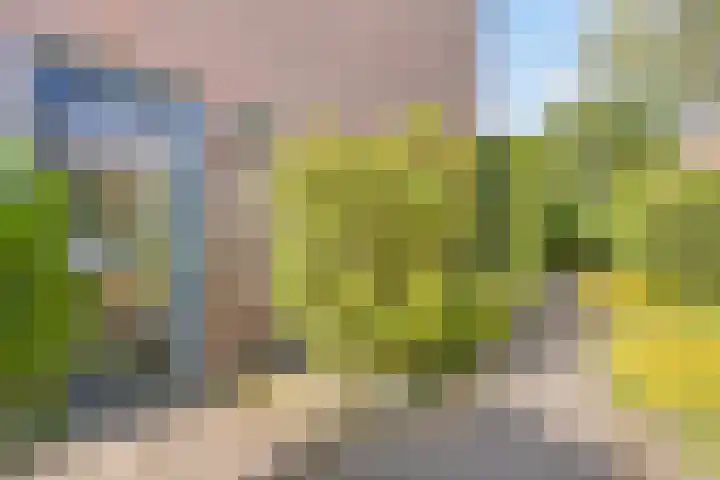Fresiapad 2 Valkenswaard thumbnail 5