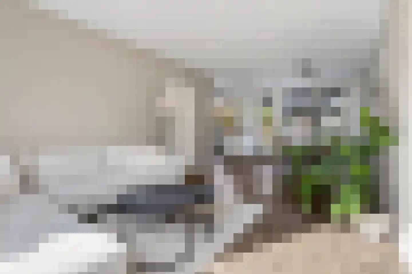 Fresiapad 4 Valkenswaard thumbnail 13