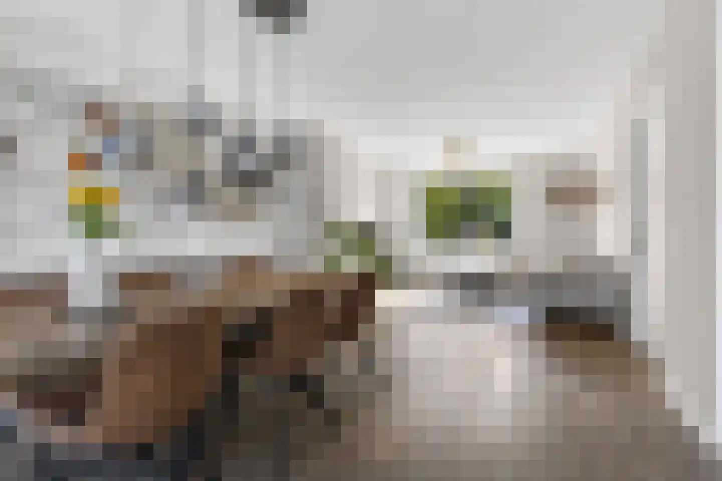Fresiapad 4 Valkenswaard thumbnail 15