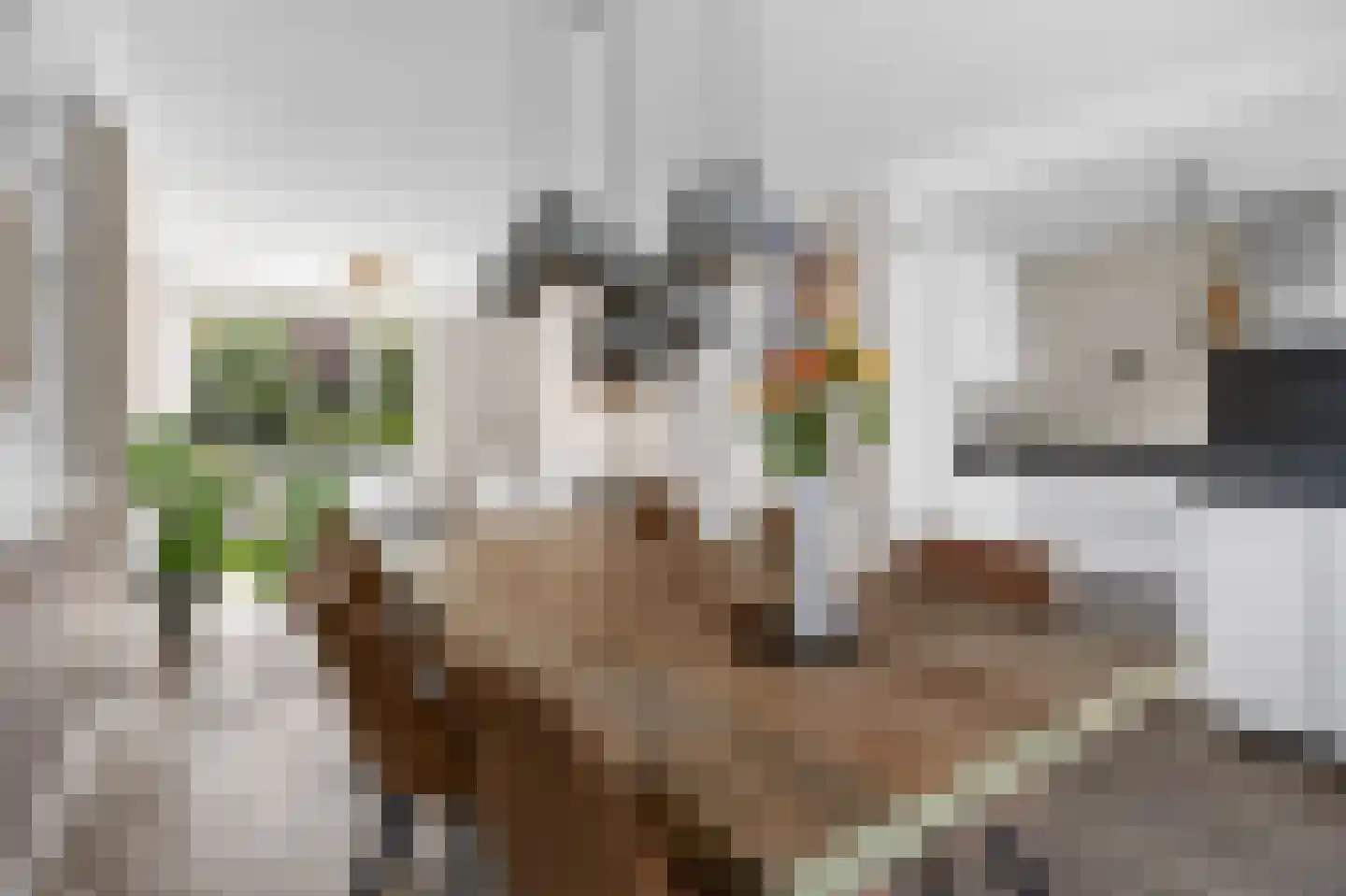 Fresiapad 4 Valkenswaard thumbnail 18