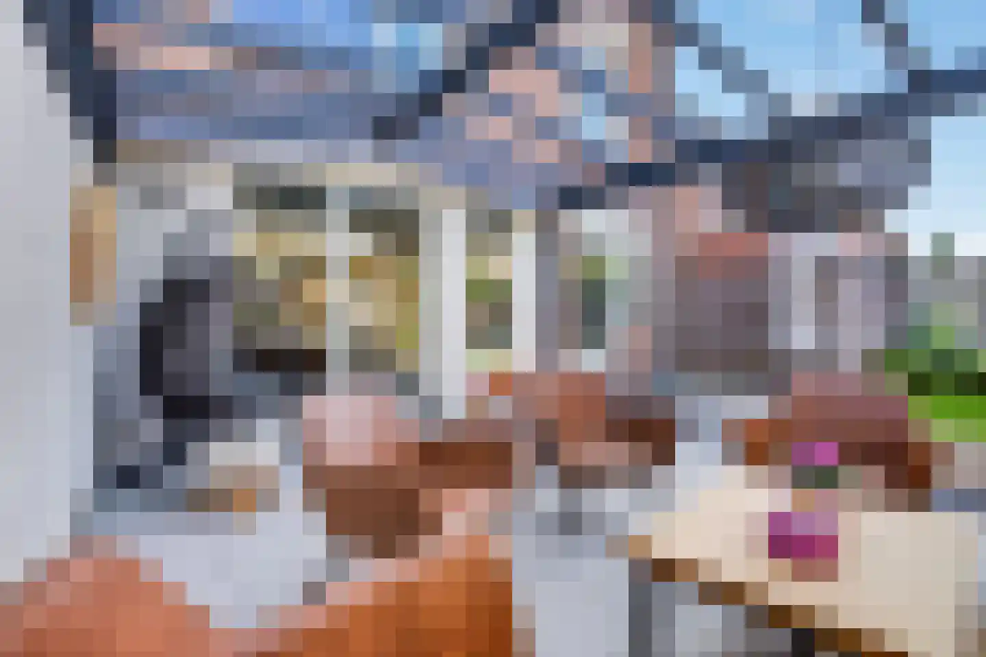 Fresiapad 4 Valkenswaard thumbnail 30