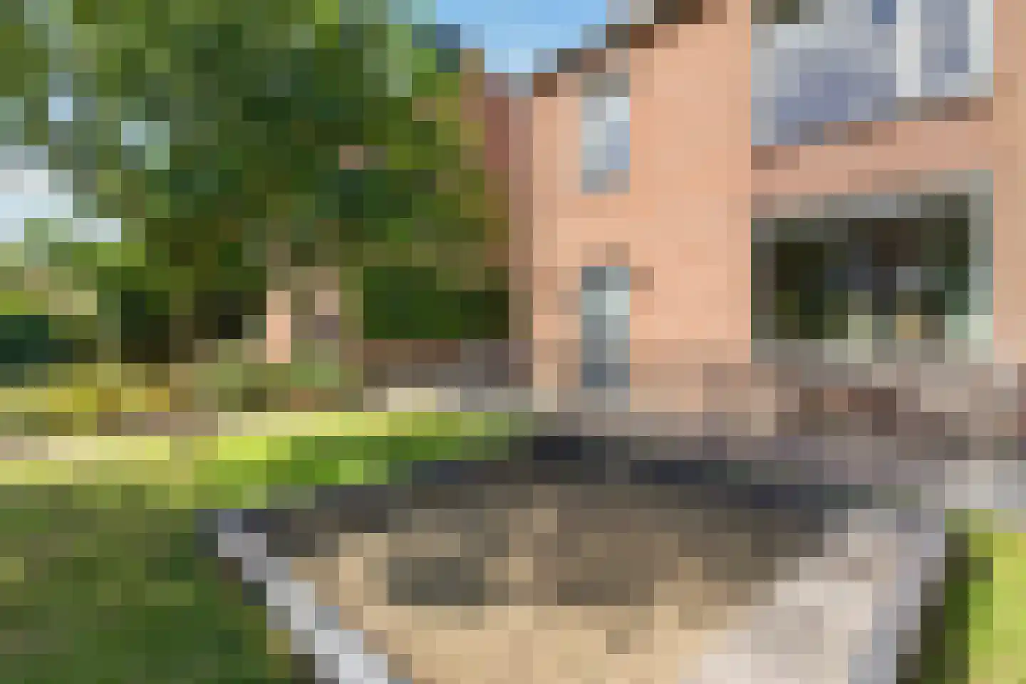 Fresiapad 4 Valkenswaard thumbnail 47