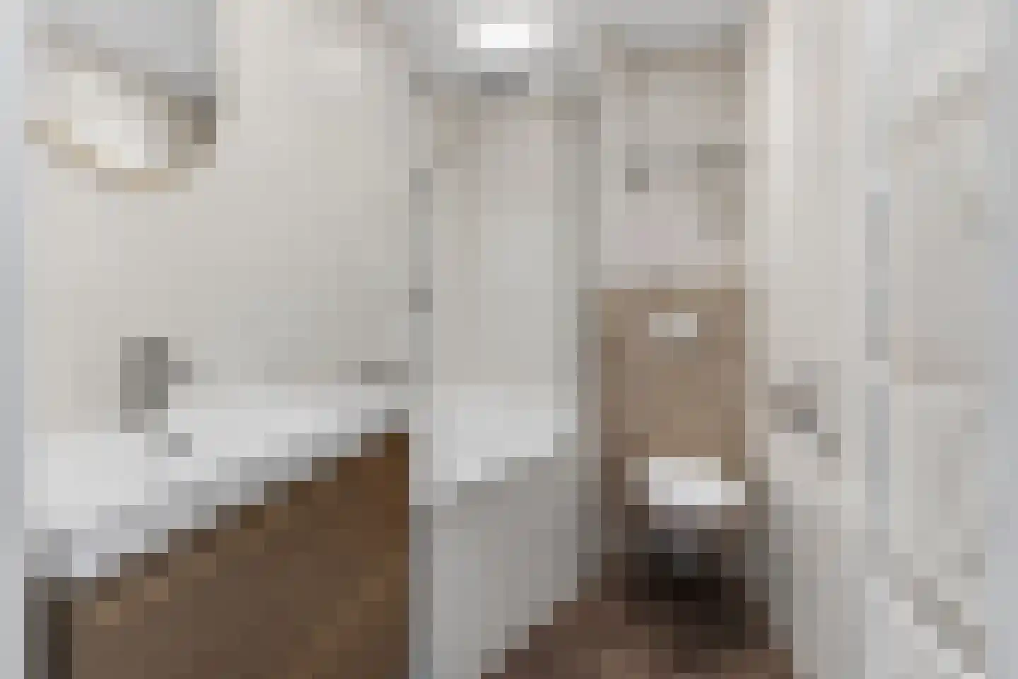 Fresiapad 4 Valkenswaard thumbnail 5