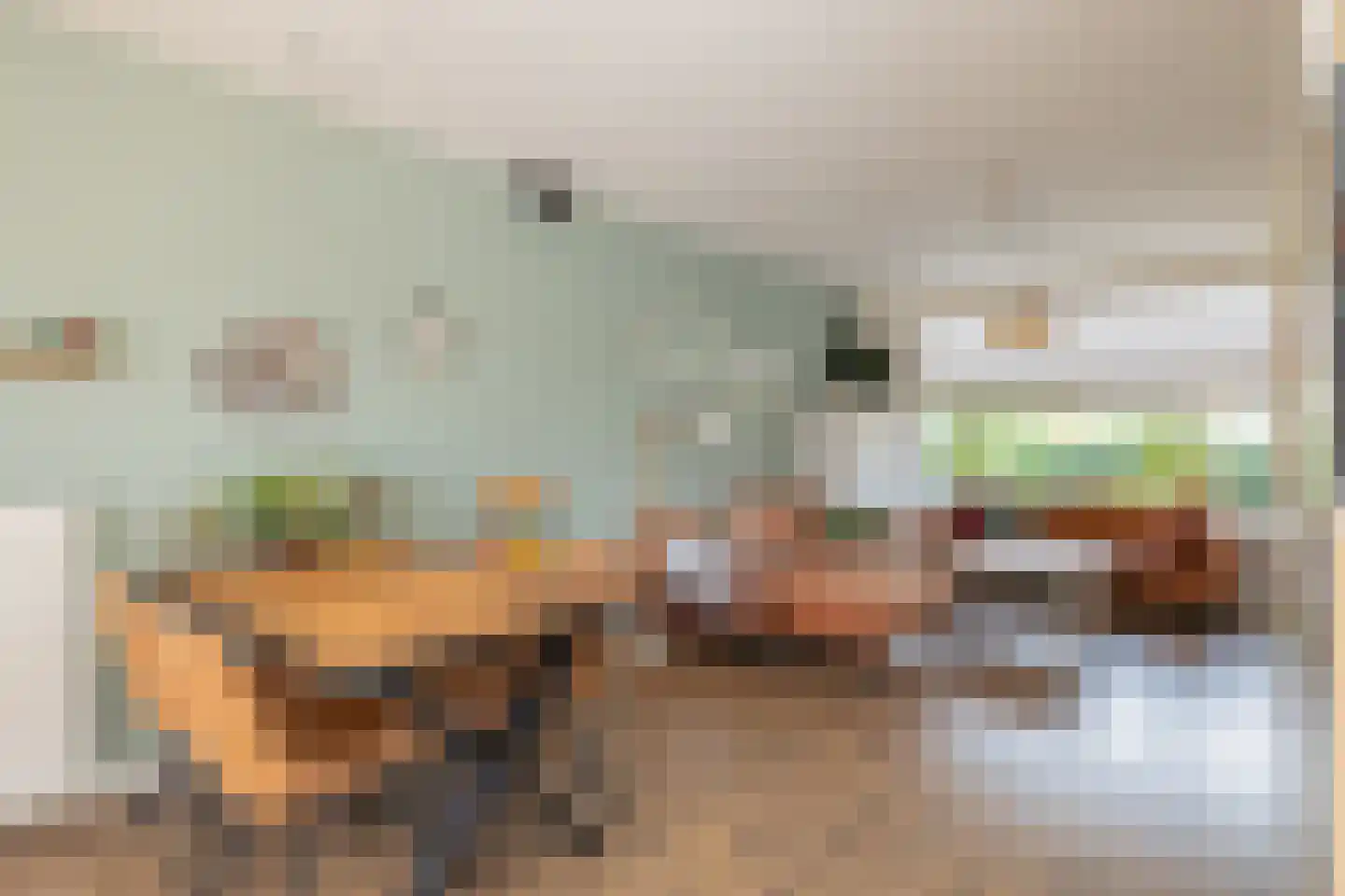 Fresiastraat 1 Lisse thumbnail 14