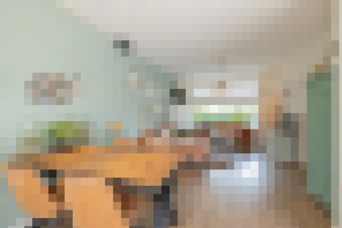 Fresiastraat 1 Lisse thumbnail 15