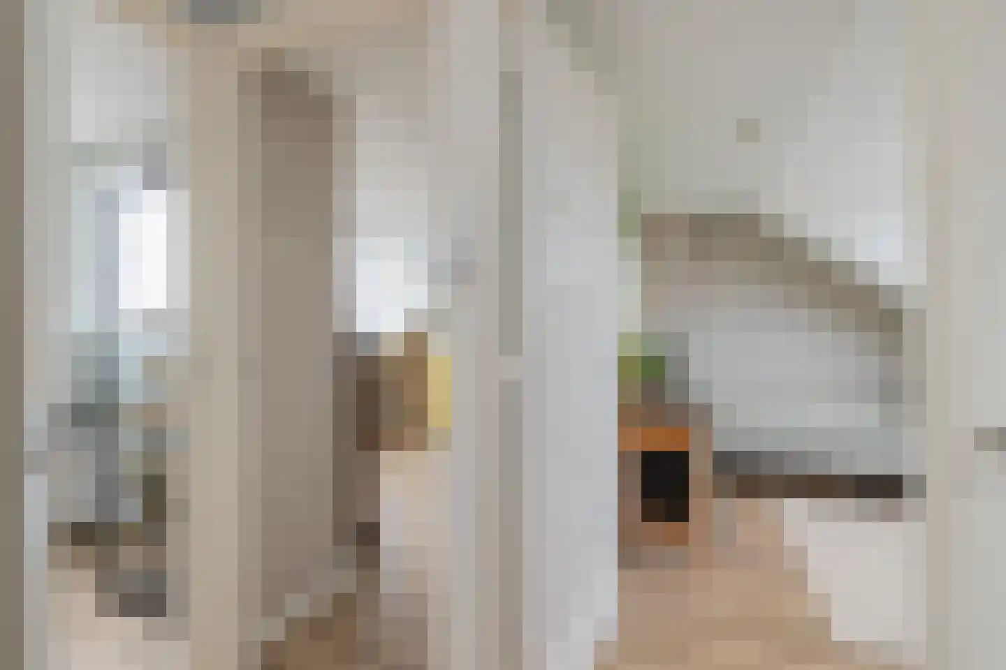 Fresiastraat 1 Lisse thumbnail 34
