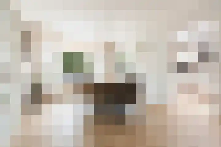 Fresiastraat 1 Noorden thumbnail 10
