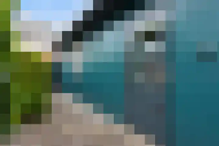 Fresiastraat 1 Noorden thumbnail 16