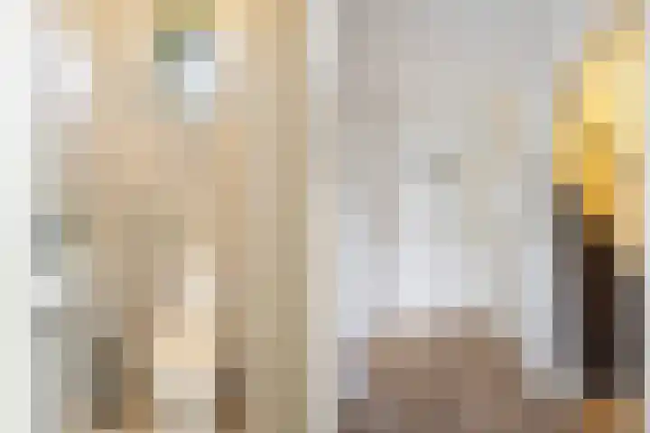 Fresiastraat 1 Noorden thumbnail 18