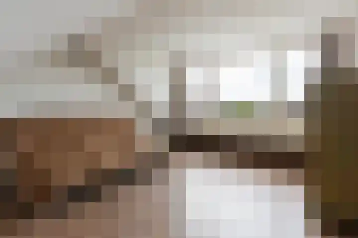 Fresiastraat 1 Noorden thumbnail 25