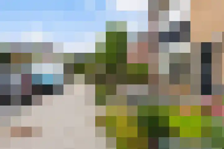 Fresiastraat 1 Noorden thumbnail 28