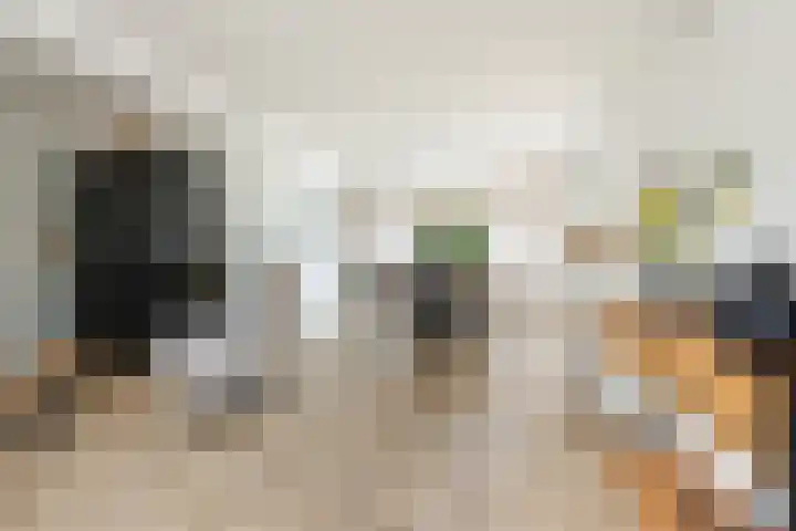 Fresiastraat 1 Noorden thumbnail 8