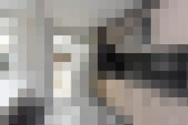 Fresiastraat 10 Noorden thumbnail 11