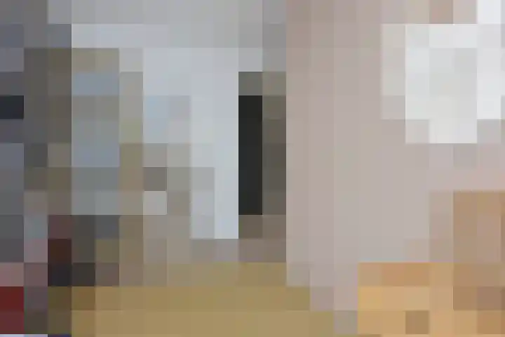Fresiastraat 10 Noorden thumbnail 20