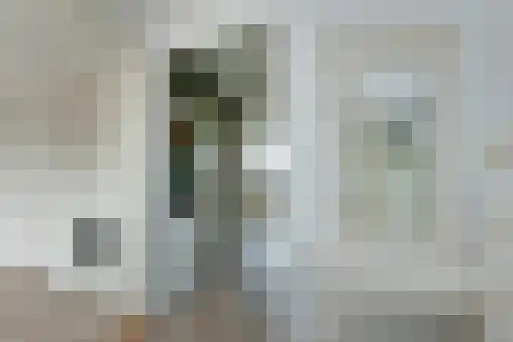 Fresiastraat 10 Noorden thumbnail 23