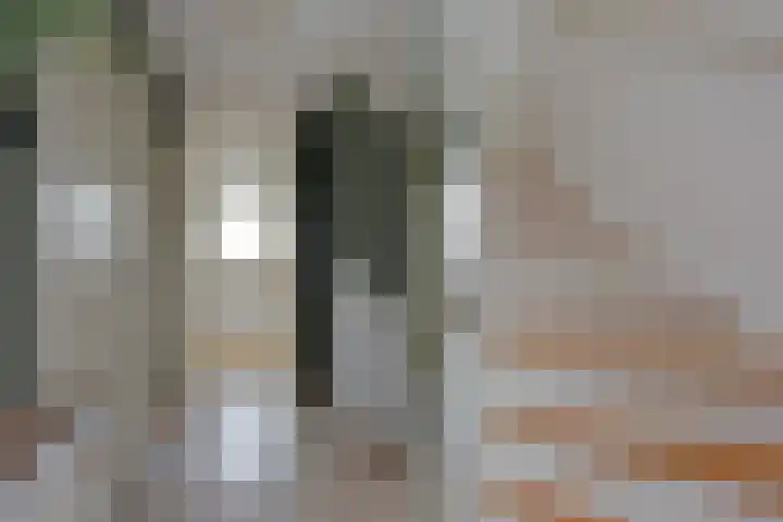 Fresiastraat 10 Noorden thumbnail 24