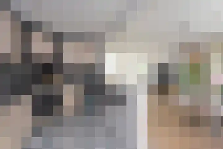 Fresiastraat 10 Noorden thumbnail 5
