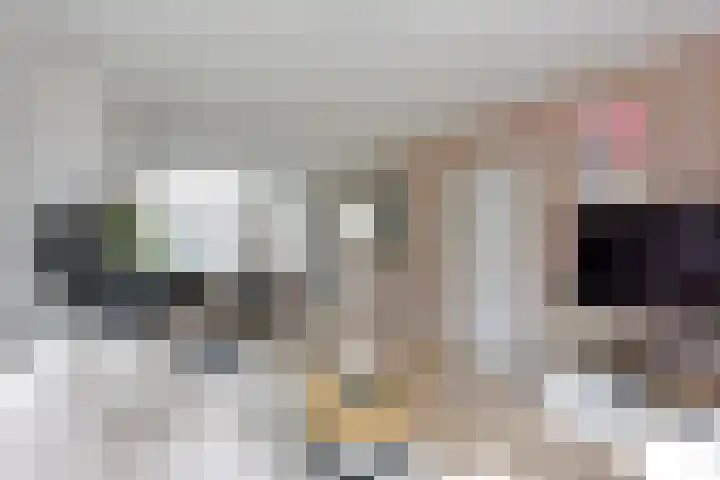 Fresiastraat 10 Noorden thumbnail 9