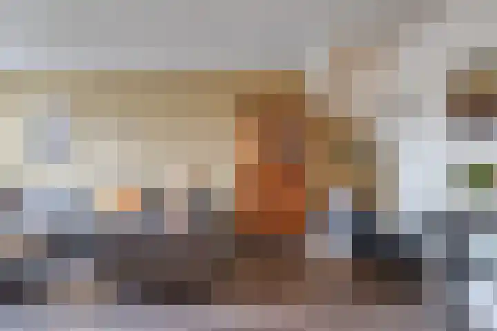 Fresiastraat 10 Sint-Michielsgestel thumbnail 15