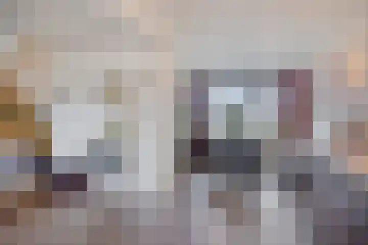 Fresiastraat 10 Sint-Michielsgestel thumbnail 16