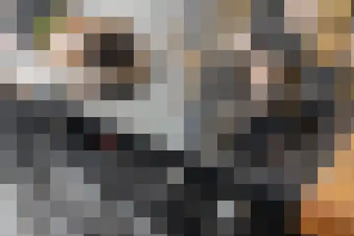 Fresiastraat 10 Sint-Michielsgestel thumbnail 20