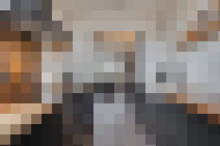 Fresiastraat 10 Sint-Michielsgestel thumbnail 22