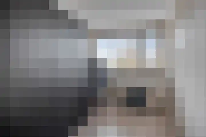 Fresiastraat 10 Sint-Michielsgestel thumbnail 29