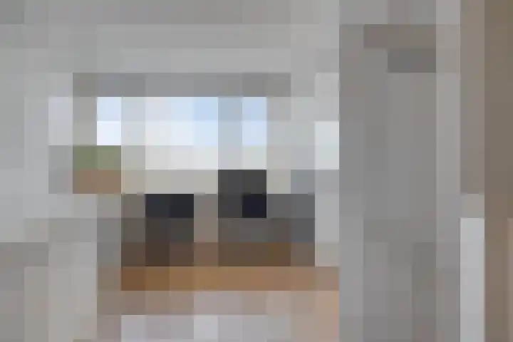 Fresiastraat 10 Sint-Michielsgestel thumbnail 34