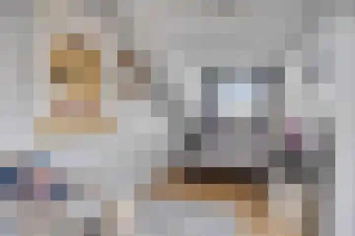 Fresiastraat 10 Sint-Michielsgestel thumbnail 36