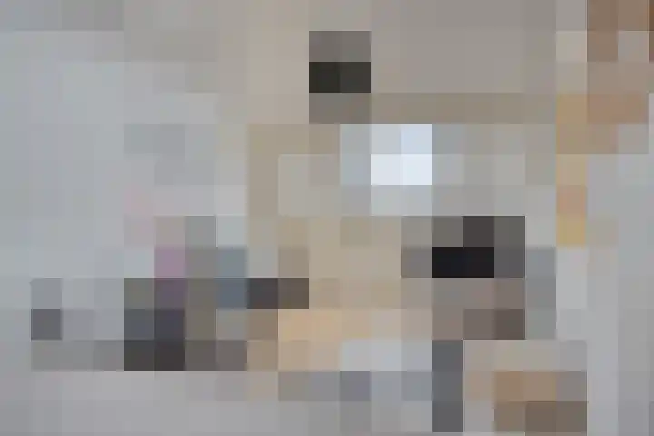Fresiastraat 10 Sint-Michielsgestel thumbnail 37