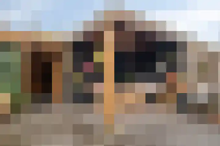 Fresiastraat 10 Sint-Michielsgestel thumbnail 4