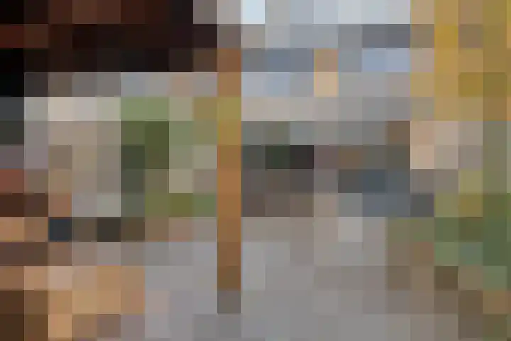 Fresiastraat 10 Sint-Michielsgestel thumbnail 44