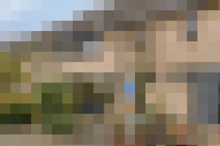 Fresiastraat 10 Sint-Michielsgestel thumbnail 50