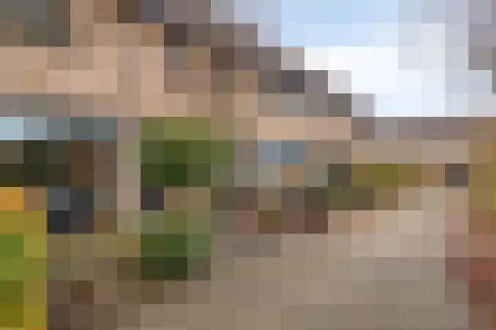 Fresiastraat 10 Sint-Michielsgestel thumbnail 51
