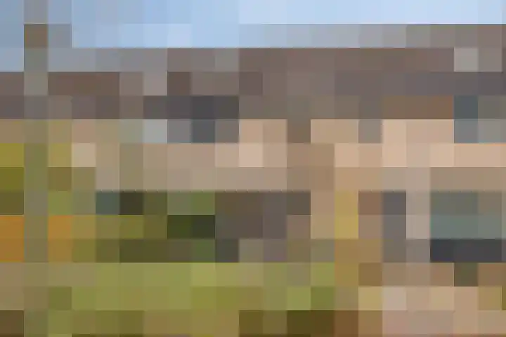 Fresiastraat 10 Sint-Michielsgestel thumbnail 53