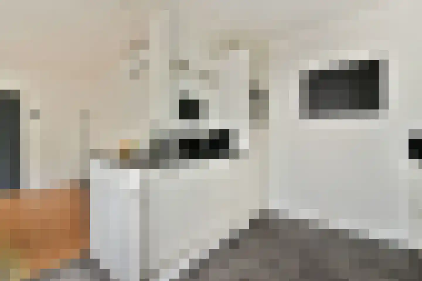 Fresiastraat 11 Spijkenisse thumbnail 10