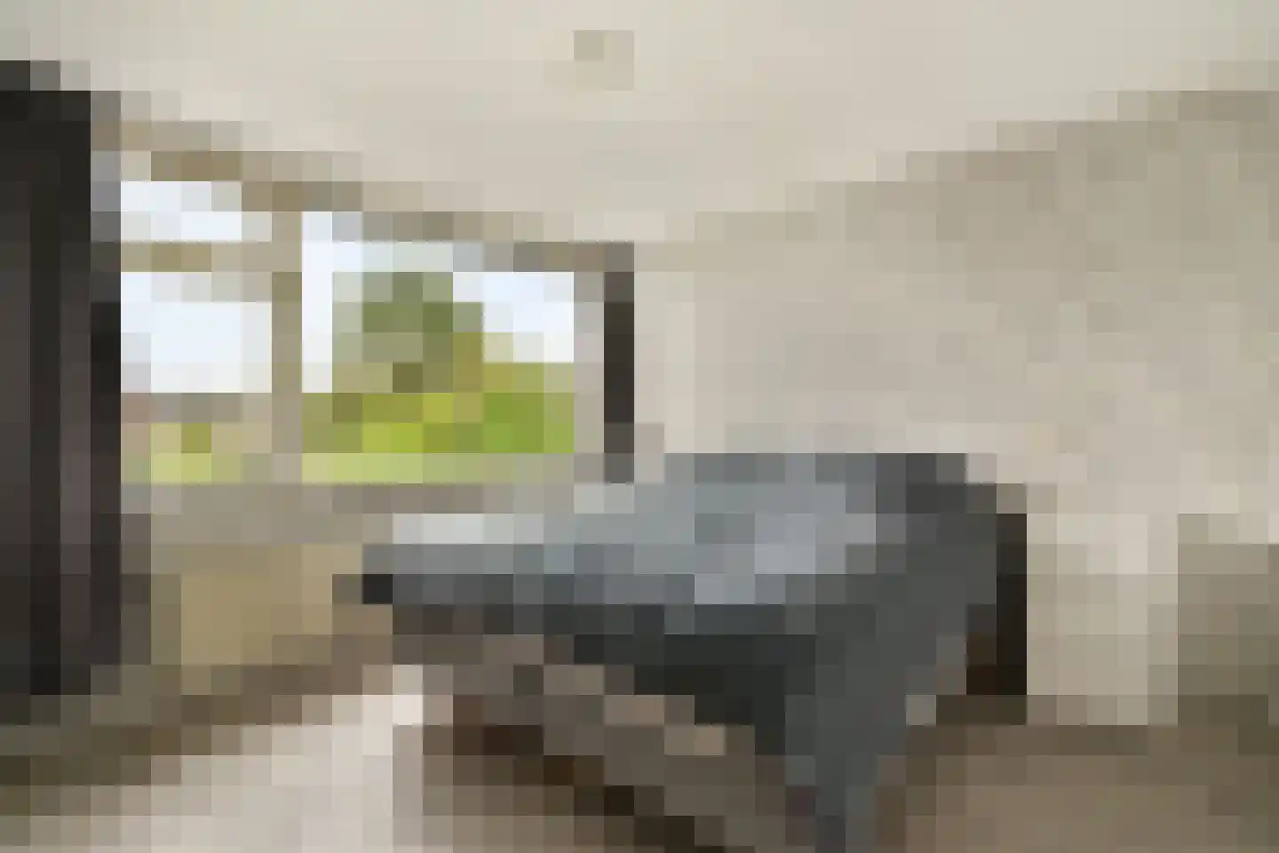Fresiastraat 11 Spijkenisse thumbnail 12