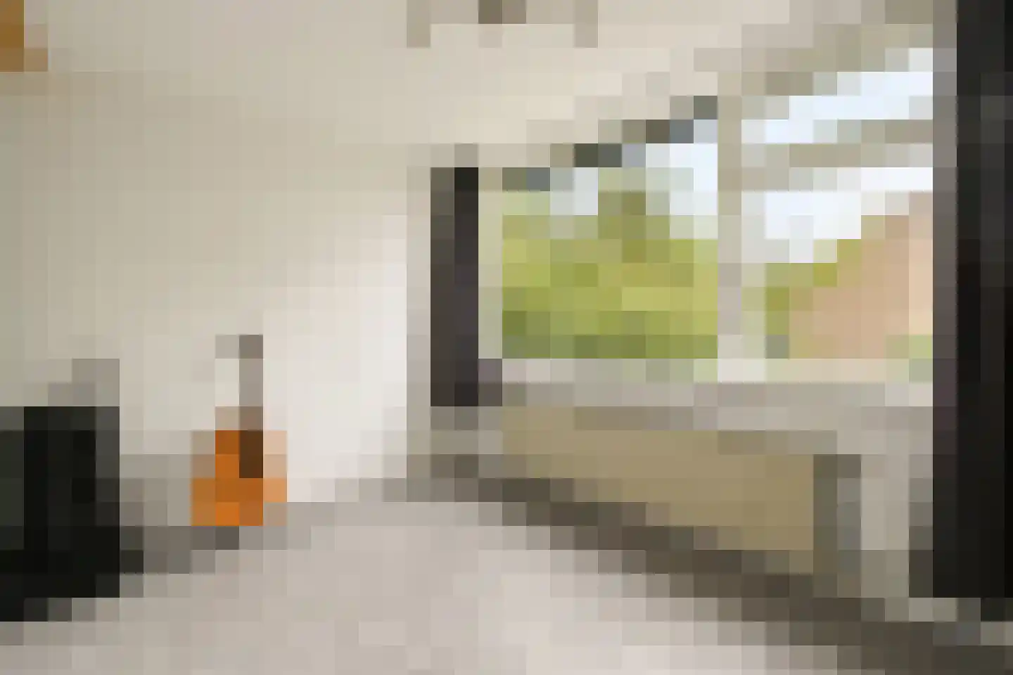Fresiastraat 11 Spijkenisse thumbnail 15