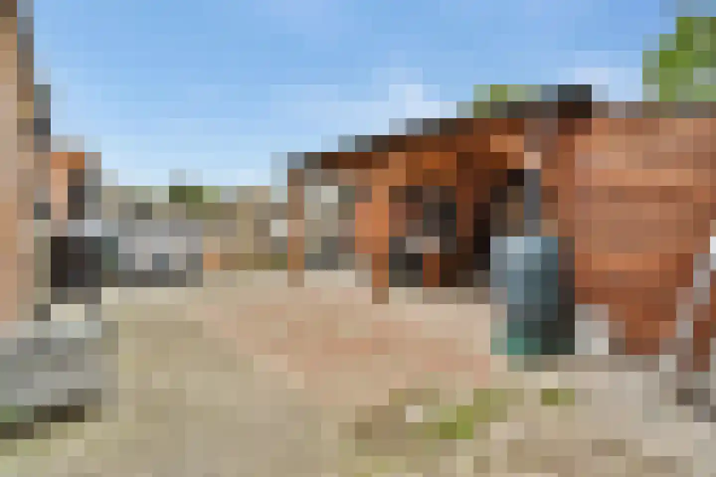 Fresiastraat 11 Spijkenisse thumbnail 18