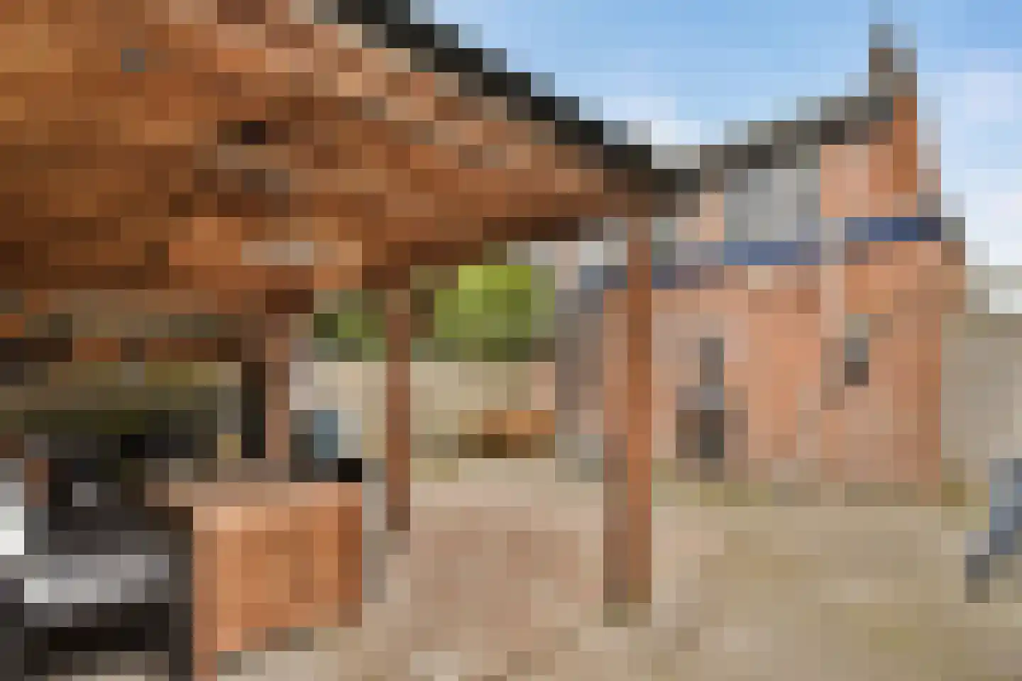 Fresiastraat 11 Spijkenisse thumbnail 19