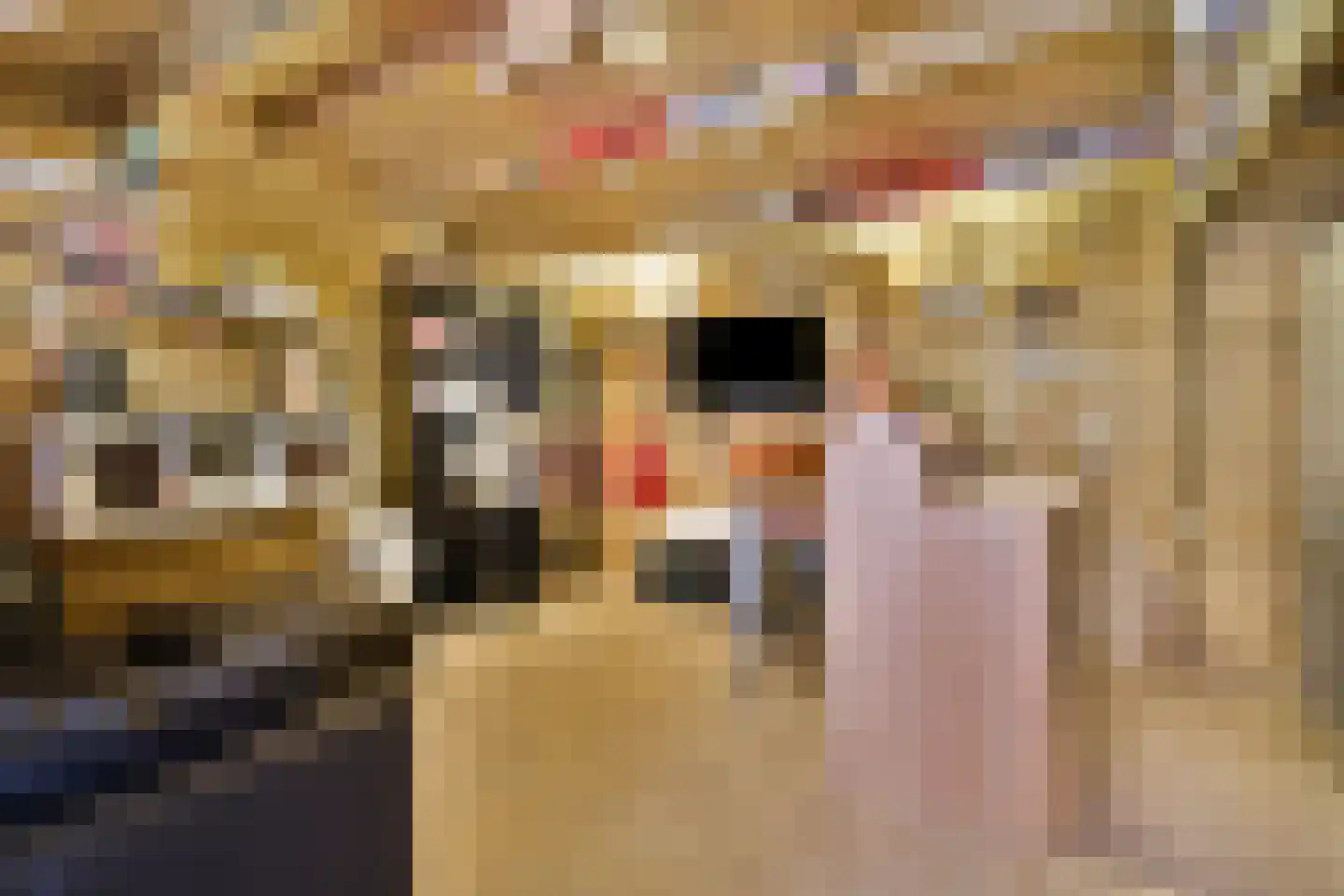 Fresiastraat 11 Spijkenisse thumbnail 20