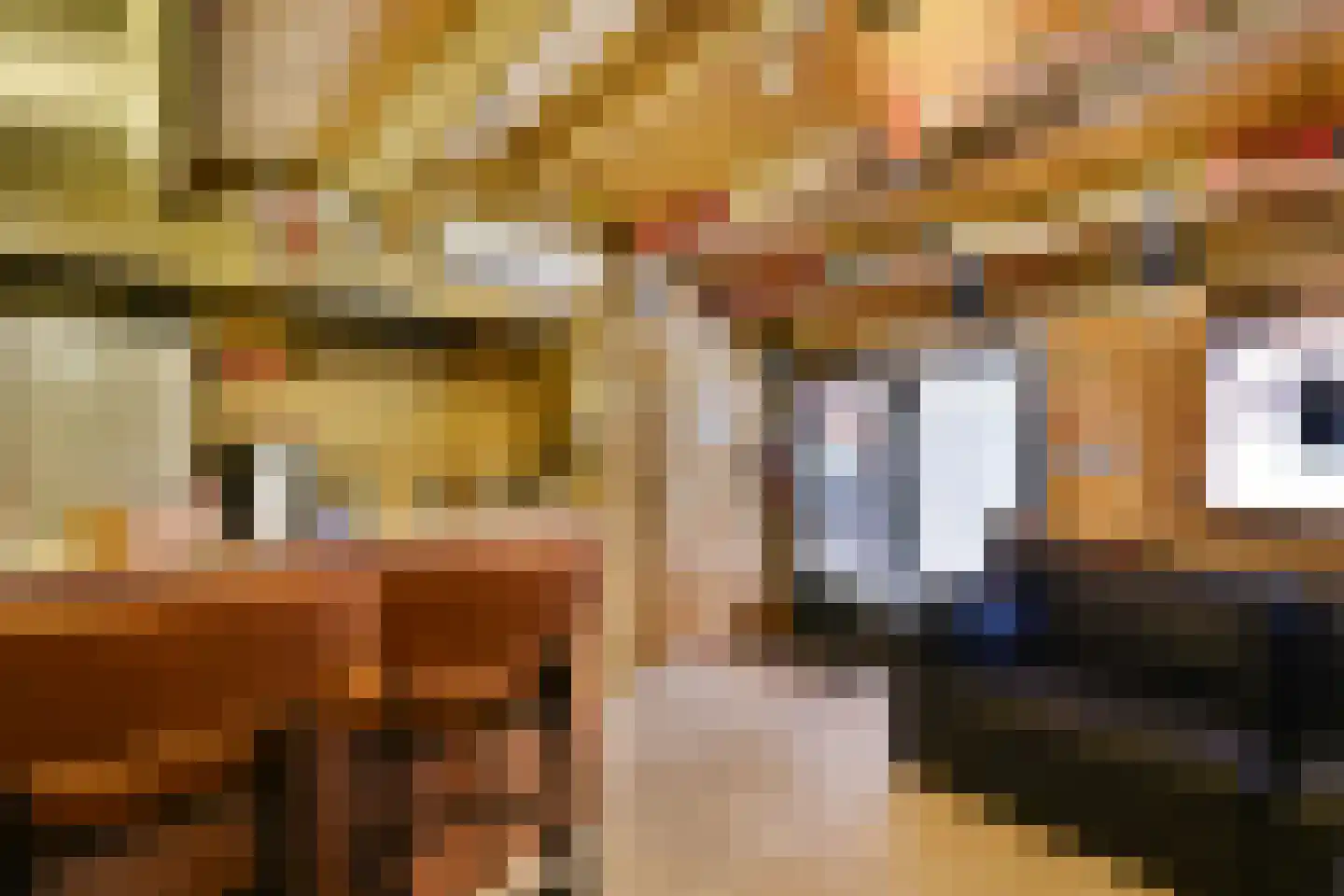 Fresiastraat 11 Spijkenisse thumbnail 21